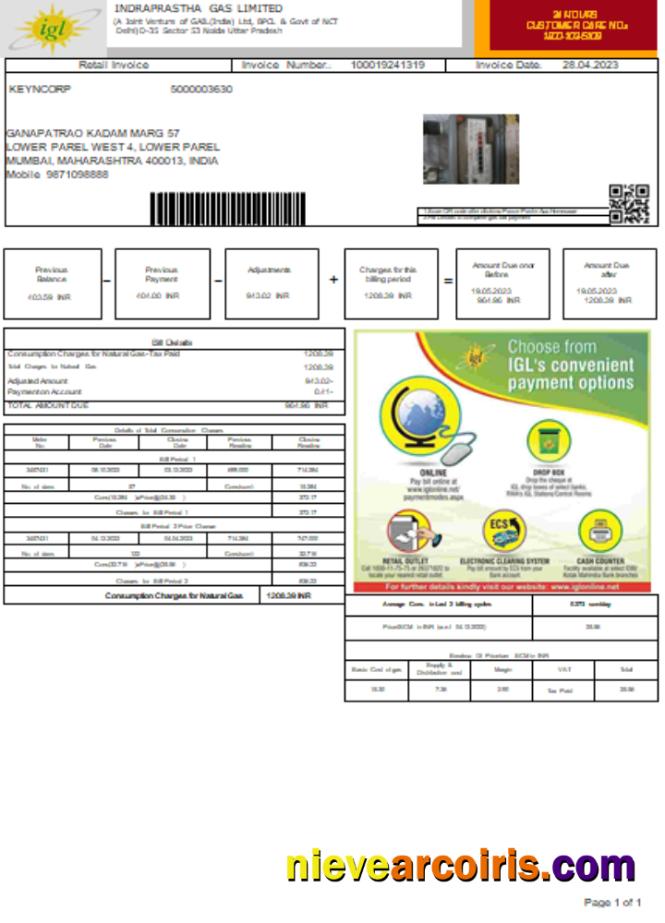 Indraprastha Gas Limited (IGL)utility business bill
